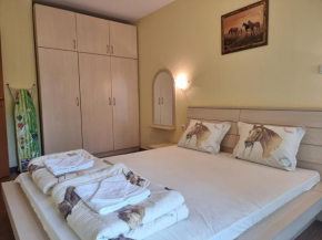 Lux Apartment in South Residence-Saint Vlas